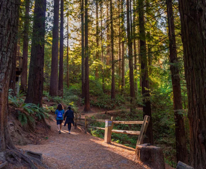 Hoyt Arboretum, United States